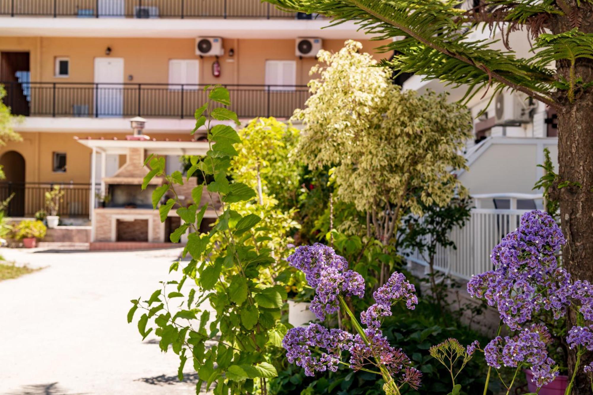 Anthi Studios&Apartments Alykes  Esterno foto